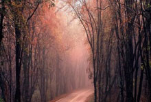 [天下足球]近况不佳 马竞战平西班牙人.