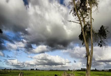 索莱尔：来英超是为了找回在巴黎的上场时间.