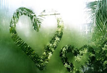 B体育官网：英超11轮战罢 去年同期热刺下滑8位曼联下滑5位.