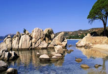 B体育官网：德天空：尼科和吉滕斯在拜仁的边锋引援候选中名列前茅.